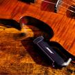 Transmițător Wireless Instrument pentru Bose S1 Pro+